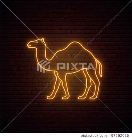 Neon camel sign. Neon camel sign. 97562086