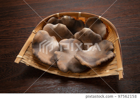 raw black abalone mushroom raw black abalone mushroom 97562158