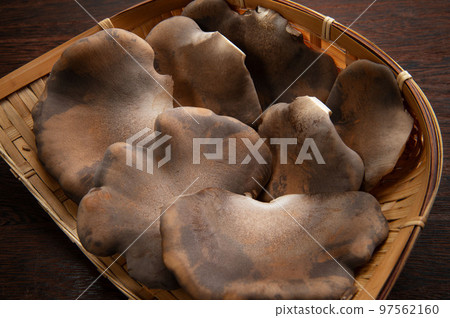 raw black abalone mushroom 97562160
