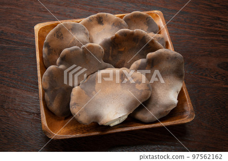 raw black abalone mushroom 97562162