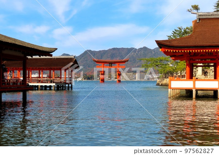 [廣島縣]日本三大名勝之一的宮島大鳥居修繕完成後 97562827