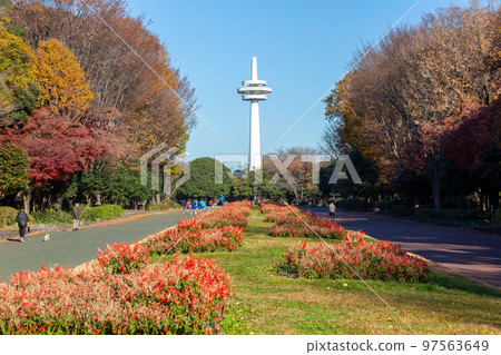 [Japan] Saitama, a radio tower standing at the back of a tree-lined street with autumn leaves 97563649
