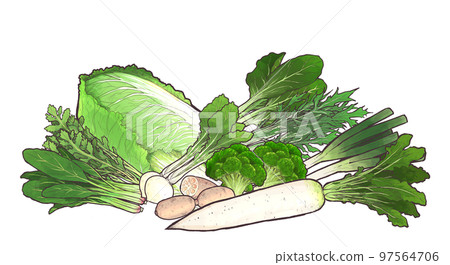 Winter vegetables and ingredients illustration summary ② Winter vegetables and ingredients illustration summary ② 97564706