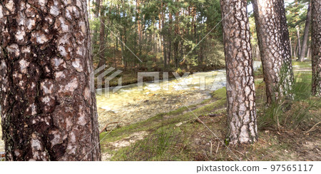 Eresma River, Guadarrama National Park, Spain 97565117