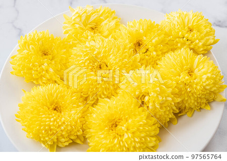 白盤子上的黃色菊花 97565764