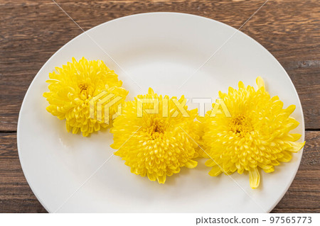 yellow chrysanthemum flowers on a white plate yellow chrysanthemum flowers on a white plate 97565773