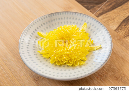 One large chrysanthemum flower 97565775