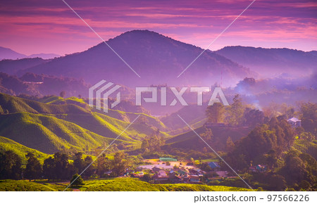 Sunset mountains village on tea plantation hills, bright violet sky. Wonderful picturesque scene of ideal landscape. Popular travel destination. Stunning natural background. Cameron Highland, Malaysia 97566226