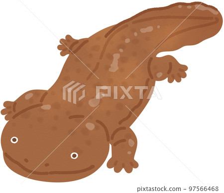 Salty salmon 97566468