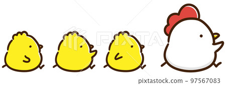 A cute illustration of a cute chicken and a chick parent and child walking side by side in the right direction 97567083