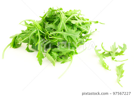 fresh farm arugula on a white background fresh farm arugula on a white background 97567227