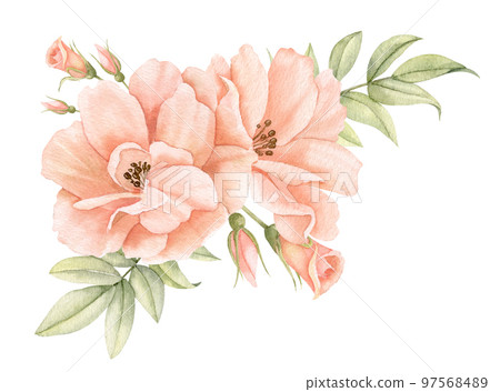 Watercolor Rose Flowers in pastel peach pink colors. Hand drawn floral illustration for wedding invitations or greeting cards on isolated background. Corner botanical composition with green leaves. 97568489