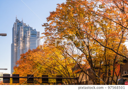 《東京》新宿副中心/秋季都市風景 《東京》新宿副中心/秋季都市風景 97568501