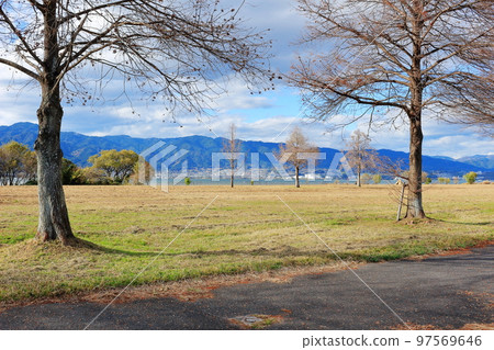 The trees with fallen leaves in the winter park and the mountains on the opposite bank 97569646