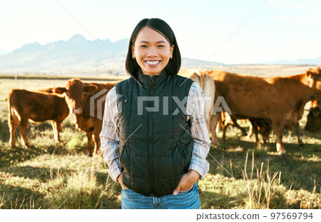 Cow, farmer and asian woman on field in nature for meat, beef or cattle food industry in Japan. Portrait happy female farming livestock, cows and agriculture animals, milk production and management Cow, farmer and asian woman on field in nature for meat, beef or cattle food industry in Japan. Portrait happy female farming livestock, cows and agriculture animals, milk production and management 97569794