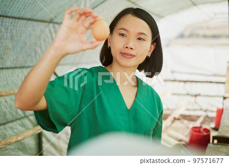 Veterinary, egg and medical with woman on farm for agriculture, healthcare and quality control. Help, sustainability and safety with animal nurse in hangar for production, ecology and eggs inspection 97571677