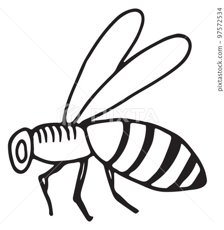 Honey bee icon. Hand drawn humblebee sketch Honey bee icon. Hand drawn humblebee sketch 97572534
