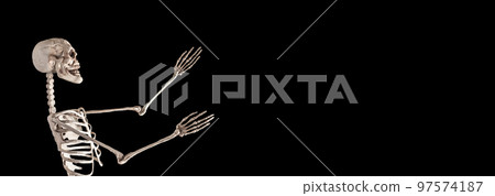 Banner with human skeleton on black background. Halloween concept. Profile view. Place for text Banner with human skeleton on black background. Halloween concept. Profile view. Place for text 97574187