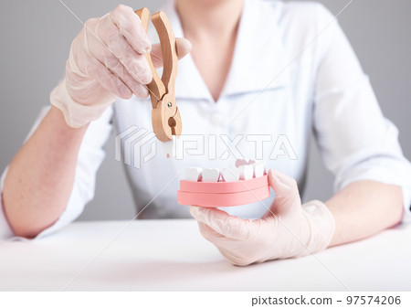 Dentist pulling tooth with forceps out of jaw model. Wisdom teeth extraction or poor oral hygiene, injury consequences. Dental surgeon in lab coat and gloves sitting at table Dentist pulling tooth with forceps out of jaw model. Wisdom teeth extraction or poor oral hygiene, injury consequences. Dental surgeon in lab coat and gloves sitting at table 97574206