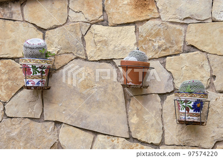 Planters with cactus hanging on a stone wall 97574220
