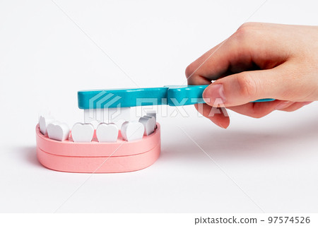 Wooden toy tooth brush brushing teeth of wood model jaw Wooden toy tooth brush brushing teeth of wood model jaw 97574526