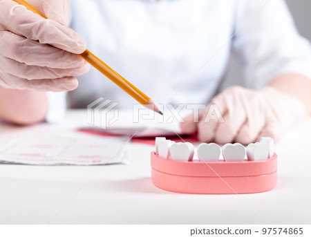 Jaw model with healthy tooth and gum. Dentists checkup 97574865
