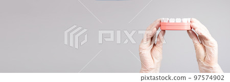 Banner with hands in gloves holding jaw model with teeth. Stomatology, dental care, oral hygiene concept. Caries and periodontal disease prevention. Place for text 97574902