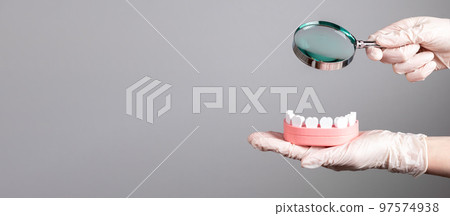 Banner with dentist holding magnifying glass over jaw model with teeth. Regular dental checkup, tooth, gums, mouth examination. Health care, stomatology concept. Copy space 97574938
