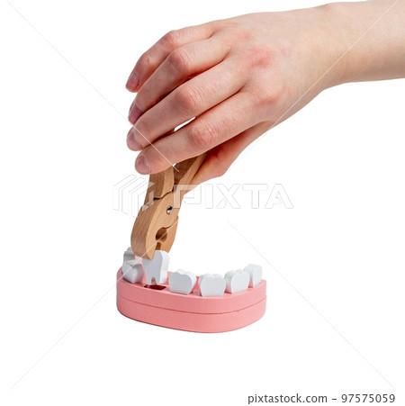 Extraction of tooth from toy jaw model with forceps close up isolated on white 97575059
