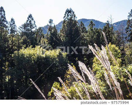 Natural scenery of Gifu Prefecture Natural scenery of Gifu Prefecture 97575994