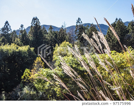 Natural scenery of Gifu Prefecture Natural scenery of Gifu Prefecture 97575996