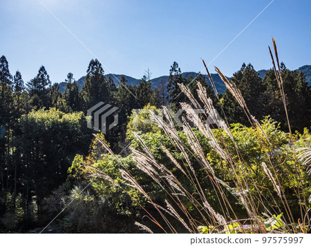 Natural scenery of Gifu Prefecture Natural scenery of Gifu Prefecture 97575997
