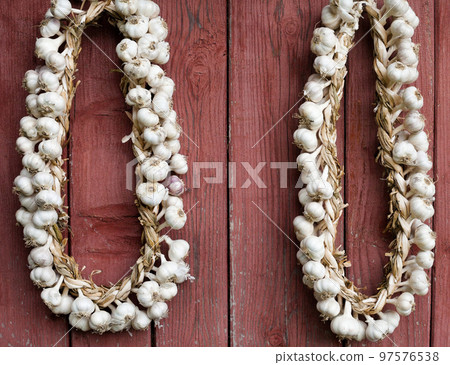 Garlic wreaths. Rich harvest. Garlic wreaths. Rich harvest. 97576538