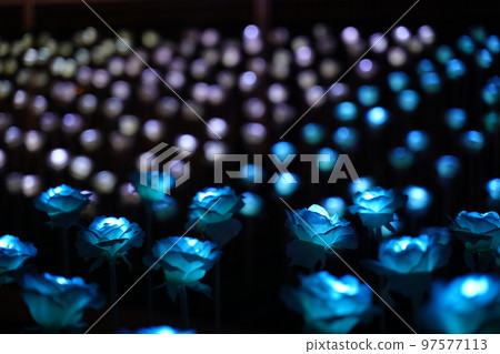 東京大型 illumi, 東洋市賽馬場, 賽馬場, 東京, i 97577113