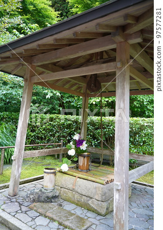 繡球花，繡球花，繡球花，藍色繡球花，藍色，明月院，明月院，鎌倉，神奈川，寺廟，神社， 97577281