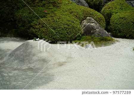 Hydrangea, hydrangea, hydrangea, blue hydrangea, blue, Meigetsuin, meigetsuin, Kamakura, Kanagawa, temple, shrine, Hydrangea, hydrangea, hydrangea, blue hydrangea, blue, Meigetsuin, meigetsuin, Kamakura, Kanagawa, temple, shrine, 97577289