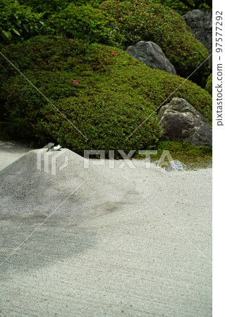 Hydrangea, hydrangea, hydrangea, blue hydrangea, blue, Meigetsuin, meigetsuin, Kamakura, Kanagawa, temple, shrine, Hydrangea, hydrangea, hydrangea, blue hydrangea, blue, Meigetsuin, meigetsuin, Kamakura, Kanagawa, temple, shrine, 97577292