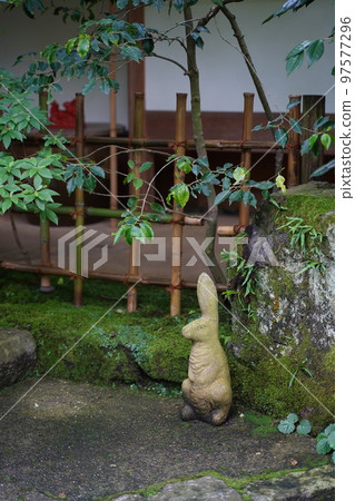繡球花，繡球花，繡球花，藍色繡球花，藍色，明月院，明月院，鎌倉，神奈川，寺廟，神社， 97577296