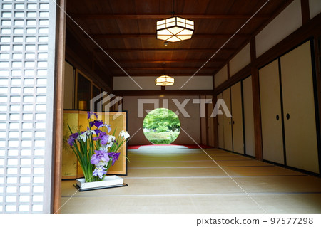 Hydrangea, hydrangea, hydrangea, blue hydrangea, blue, Meigetsuin, meigetsuin, Kamakura, Kanagawa, temple, shrine, 97577298