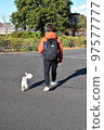 A walk with the maltese in the park 97577777