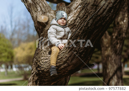 A cute little boy wearink khaki beanie bravely sitting on the branch of big tree.. Image with selective focus A cute little boy wearink khaki beanie bravely sitting on the branch of big tree.. Image with selective focus 97577882