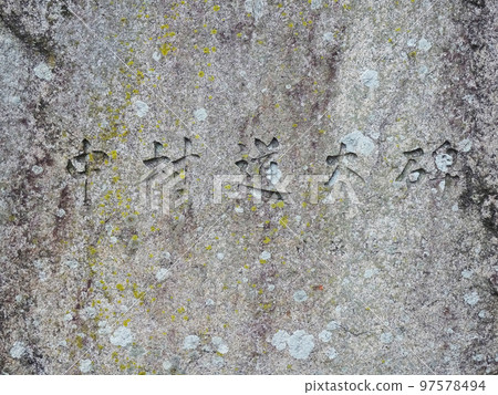 吉田城（豐橋公園）[愛知縣豐橋市] 2022年10月 97578494