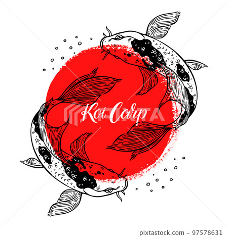 beautiful card of koi carps 97578631