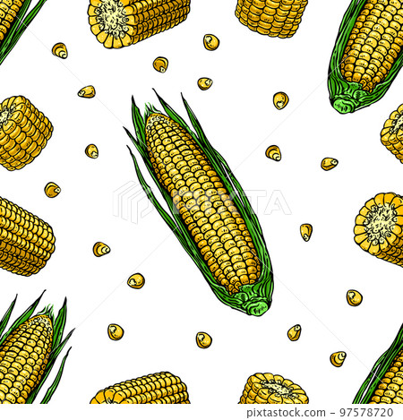 Seamless ripe corn Seamless ripe corn 97578720