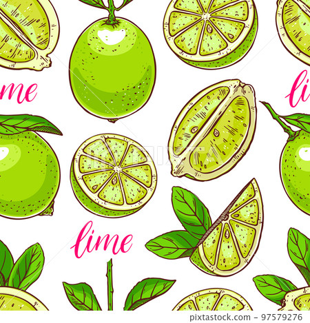 seamless background of limes 97579276