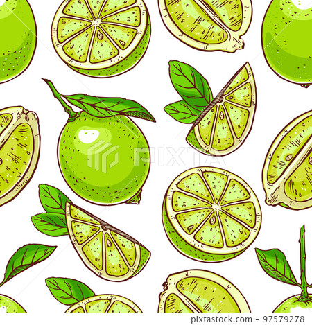 seamless background of limes seamless background of limes 97579278