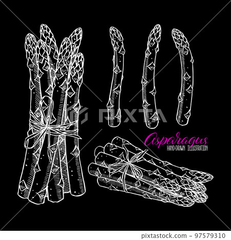 set of asparagus set of asparagus 97579310