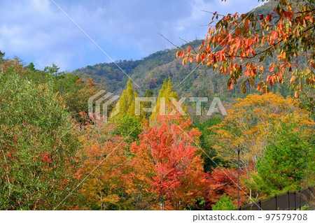 塔卡鎮休閒度假村 97579708