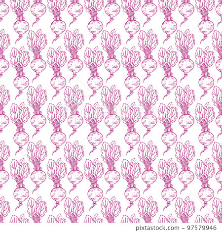 seamless sketch ripe beets 97579946