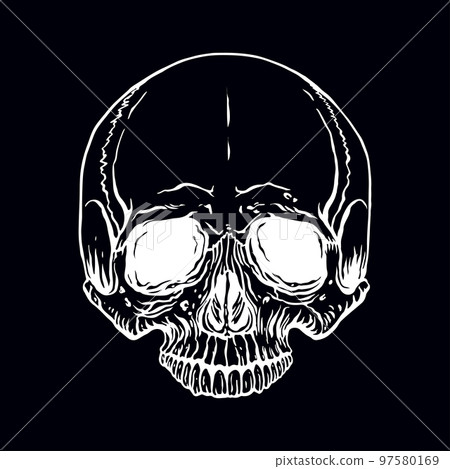 hand drawn human skull hand drawn human skull 97580169